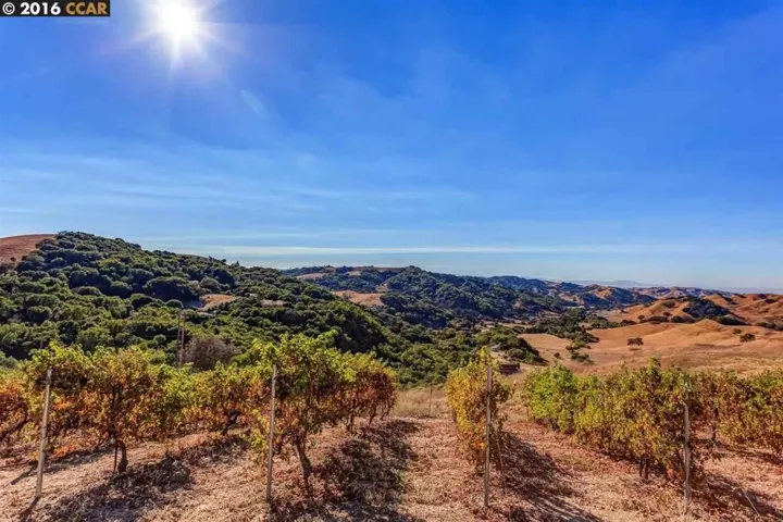 21 Bear Oaks Pl, Martinez, California 94553
