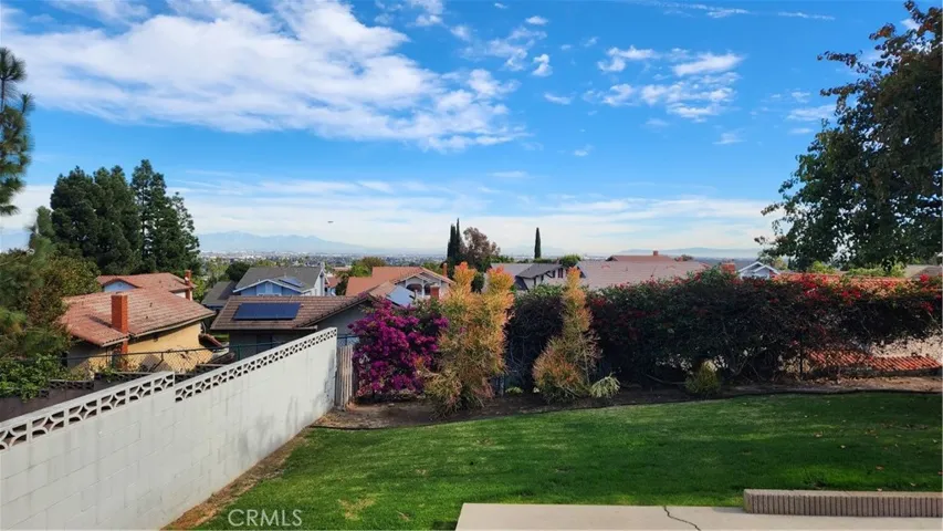 Backyard Views