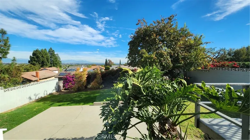 View from the Living Room Window