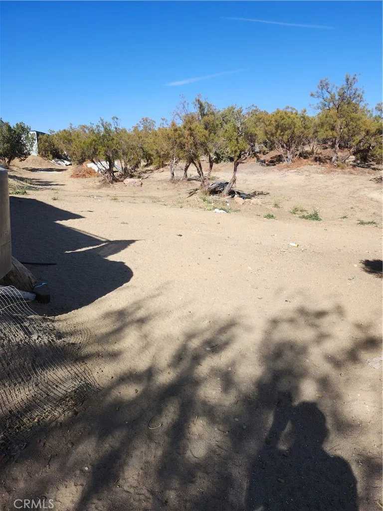 58782 La Colina Lane, Anza, California 92539 home-pic-23