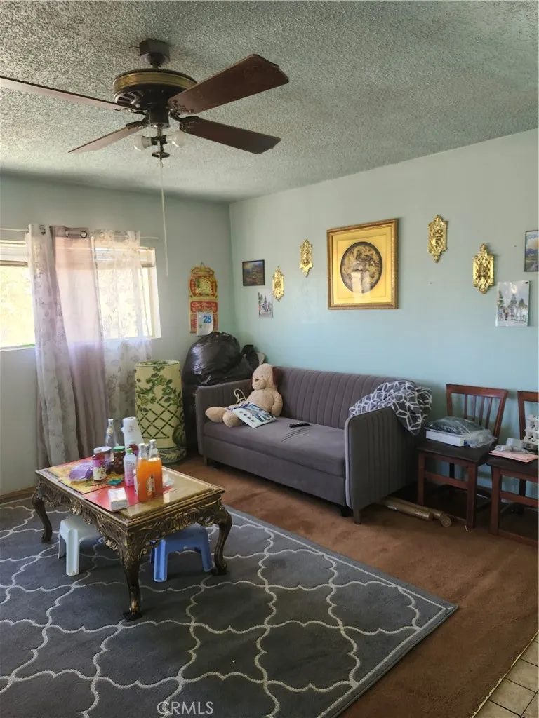 58782 La Colina Lane, Anza, California 92539 home-pic-2