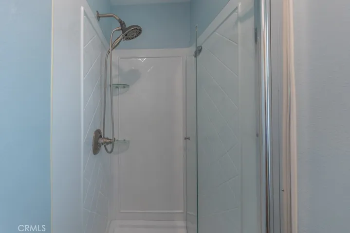 Primary Bathroom Shower
