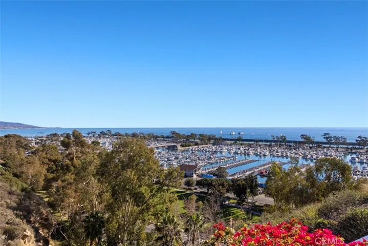 24536 Santa Clara Avenue, Dana Point, California 92629