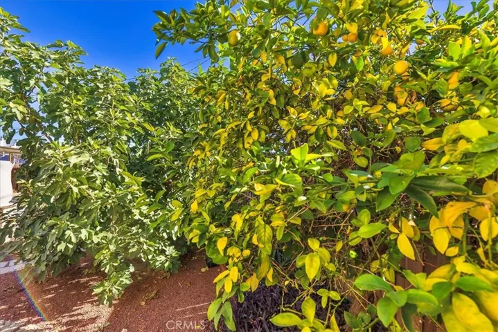 26221 Ridgemoor Rd, Menifee, California 92586