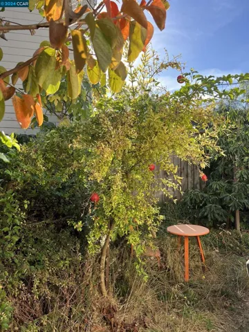 2260 Buena Vista Ave, Alameda, California 94501