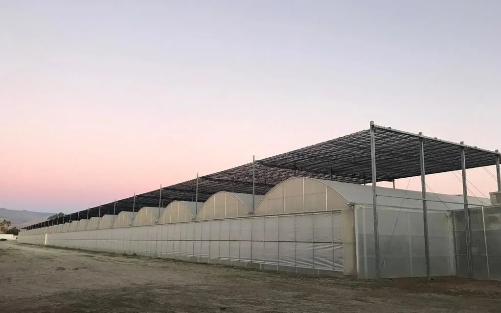 GreenHouseImage