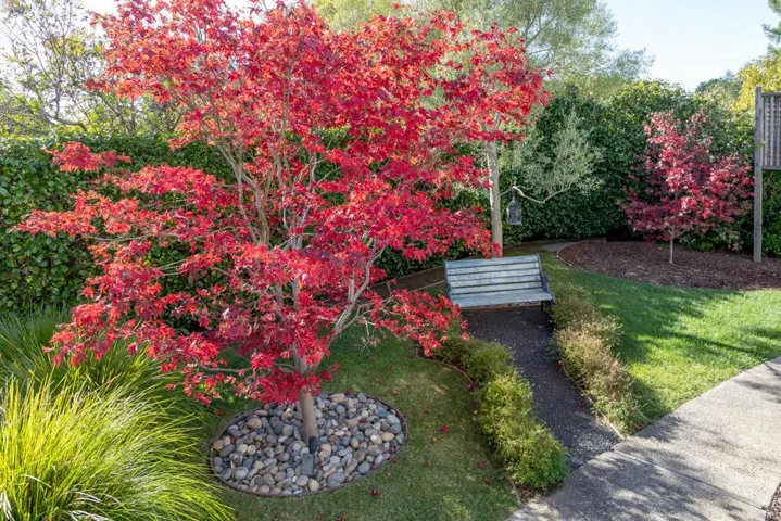 900 Clubhouse Drive, Aptos, California 95003