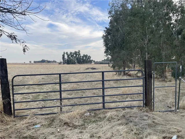 Back Pasture
