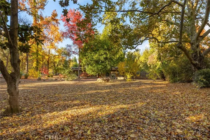 1326 Bidwell Avenue, Chico, California 95926