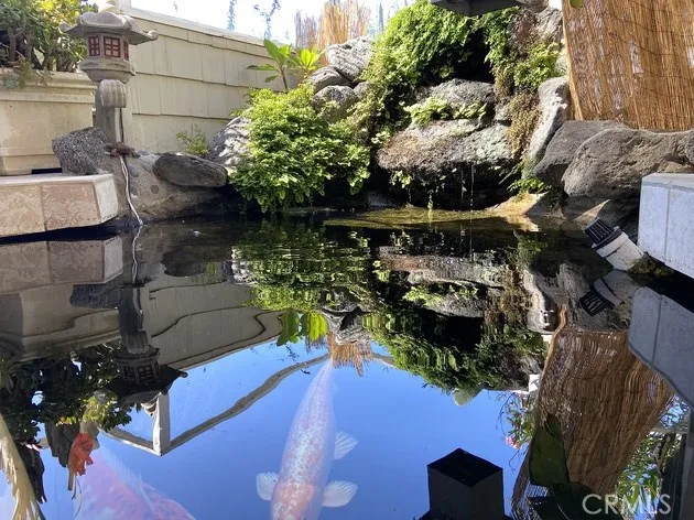 Amazing Koi pond