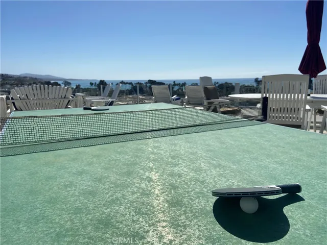 Ping Pong anyone?