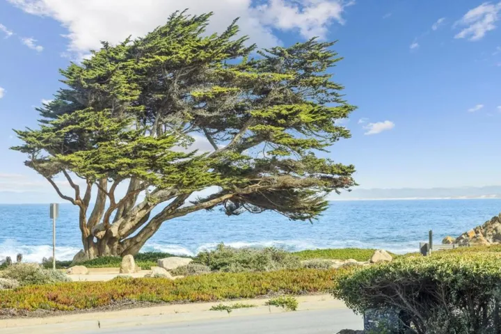 1261 Ocean View Boulevard, Pacific Grove, California 93950