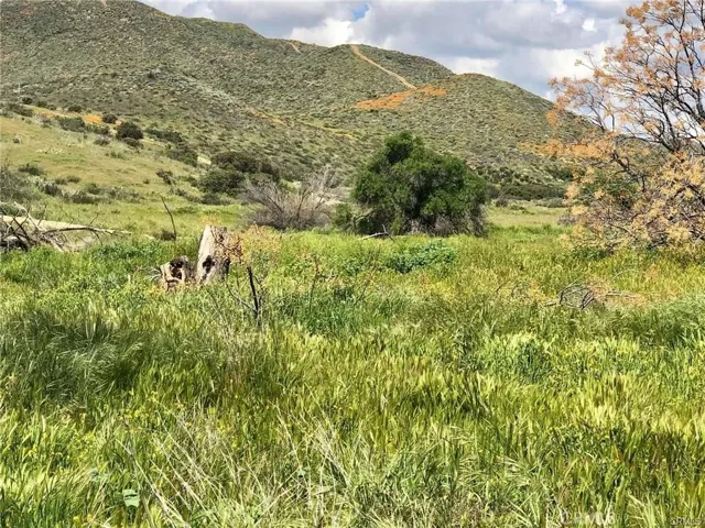42370 Round Top Canyon Road, Aguanga, California 92536