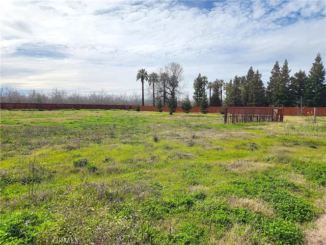 6650 Palm Avenue, Orland, California 95963