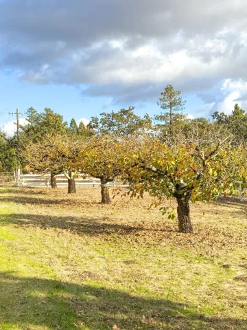 1665 Willowside Road, Santa Rosa, California 95401