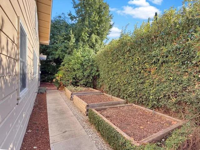 Garden Beds Near Kitchen - Side Yard