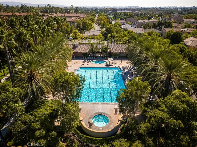 Pool and Spa