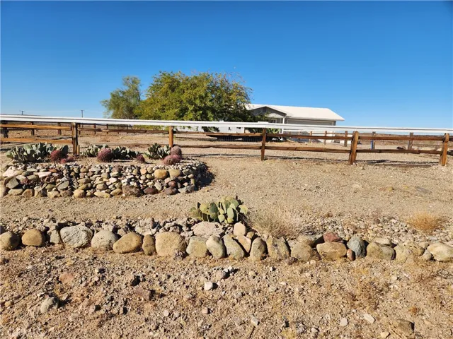 Second catus garden