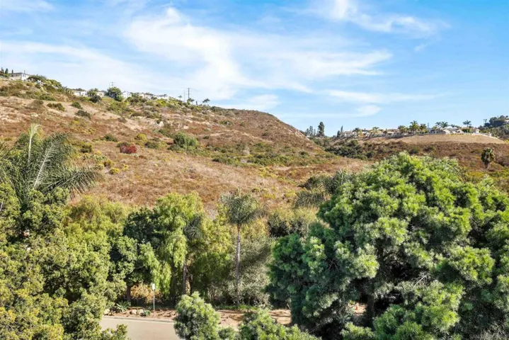 3156 Via Puerta, Carlsbad, California 92009