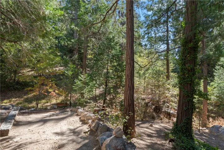 27255 Little Bear Road, Blue Jay, California 92317