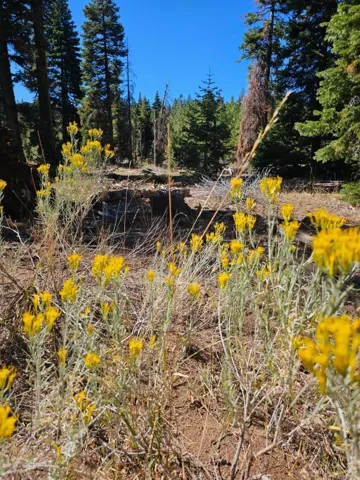 0 Prospect Road, Alturas, California 96101