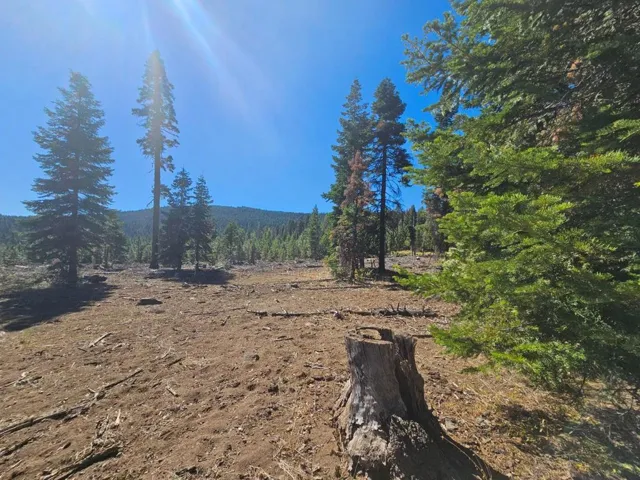 0 Prospect Road, Alturas, California 96101 — photo 5