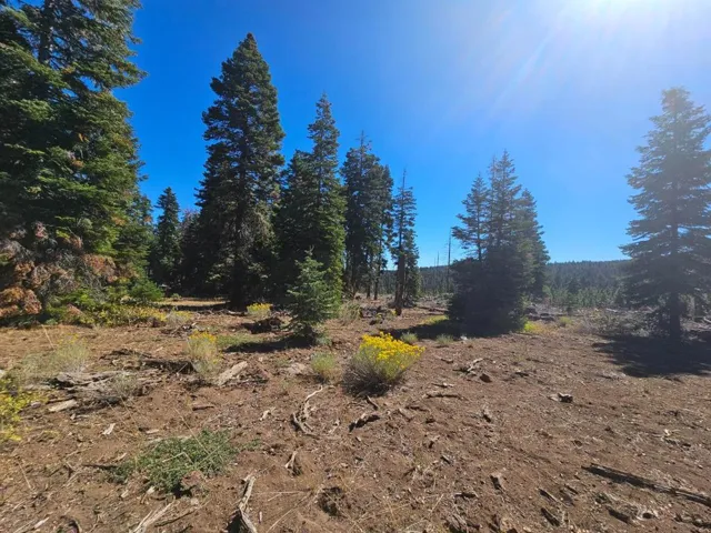0 Prospect Road, Alturas, California 96101