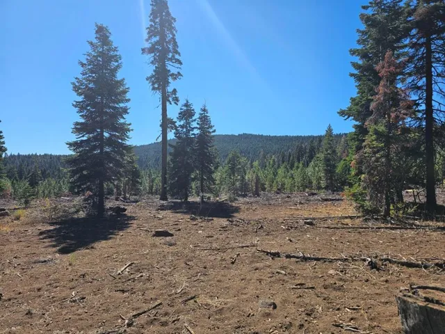 0 Prospect Road, Alturas, California 96101