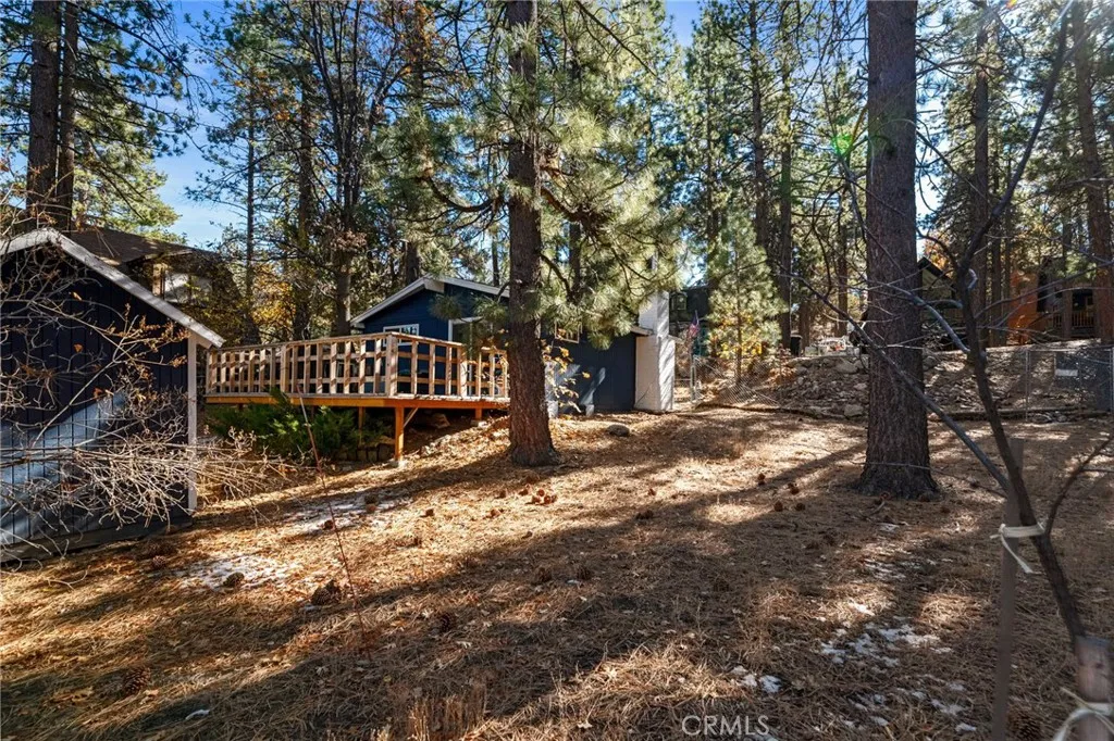 1141 W Alta Vista Avenue, Big Bear City, California 92314 home-pic-17