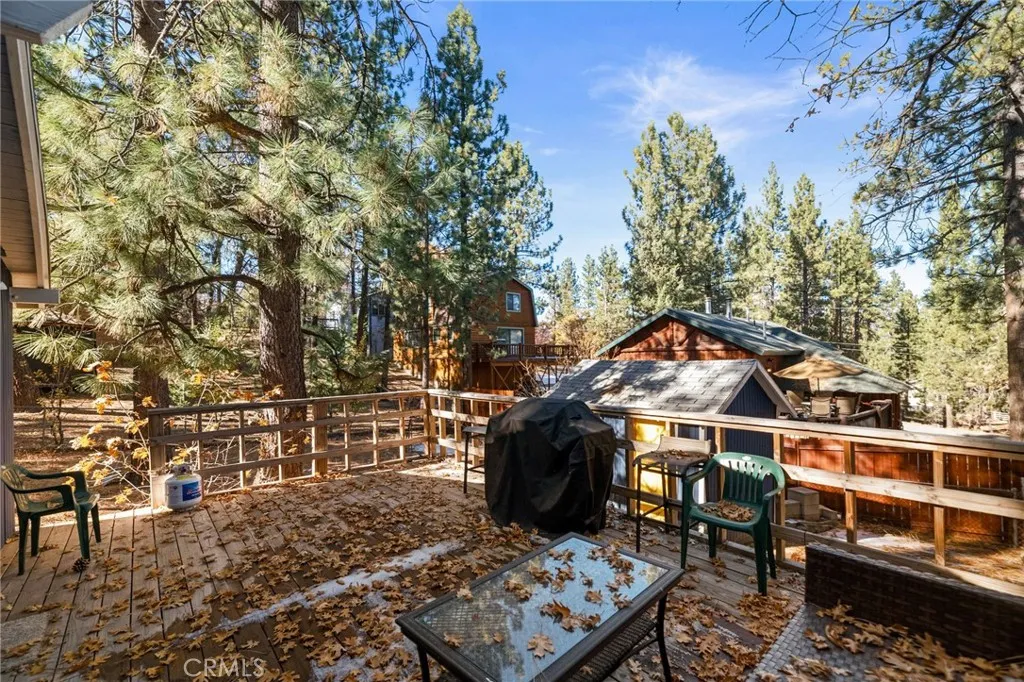 1141 W Alta Vista Avenue, Big Bear City, California 92314 home-pic-13
