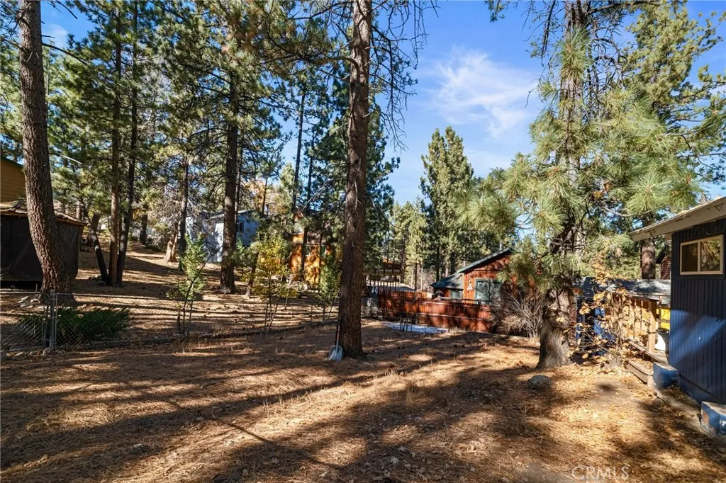 1141 W Alta Vista Avenue, Big Bear City, California 92314 home-pic-15