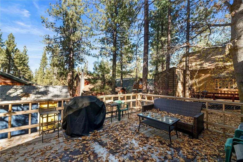 1141 W Alta Vista Avenue, Big Bear City, California 92314 home-pic-12