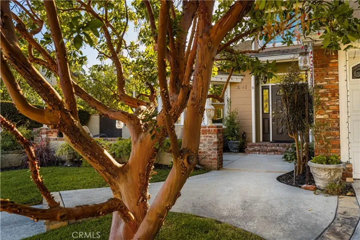 5241 Via Ester, Yorba Linda, California 92886