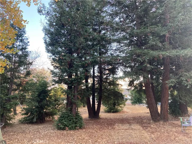 1225 Vineyard Drive, Templeton, California 93465
