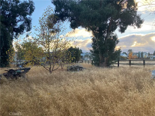 1225 Vineyard Drive, Templeton, California 93465