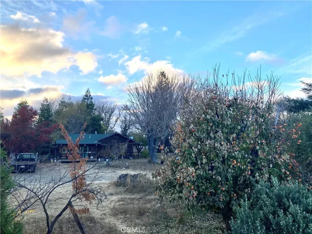 1225 Vineyard Drive, Templeton, California 93465