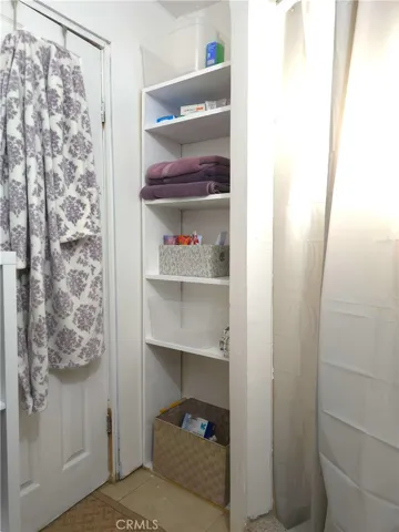 Primary shower storage