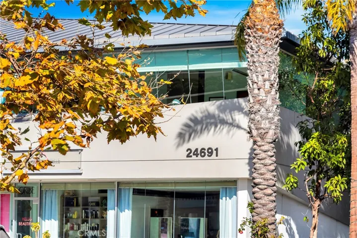24691 Del Prado, Dana Point, California 92629