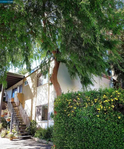 1195 Saranap Ave, Walnut Creek, California 94595