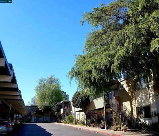 1195 Saranap Ave, Walnut Creek, California 94595