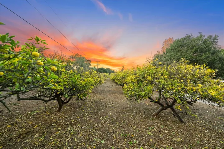 736 Del Valle Drive, Fallbrook, California 92028