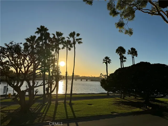 5211 Marina Pacifica Drive S 229, Long Beach, California 90803