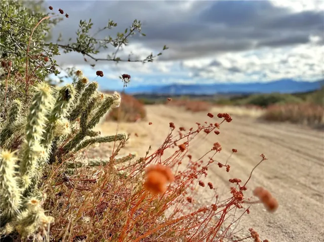 40 Acres Via Oak Grove Lane, Ranchita, California 92066