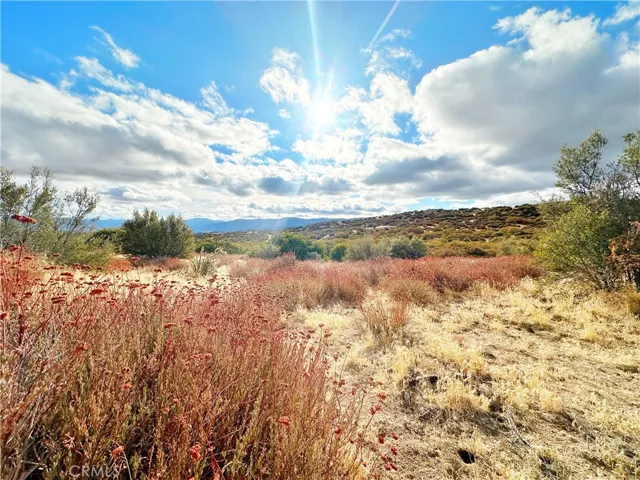 40 Acres Via Oak Grove Lane, Ranchita, California 92066