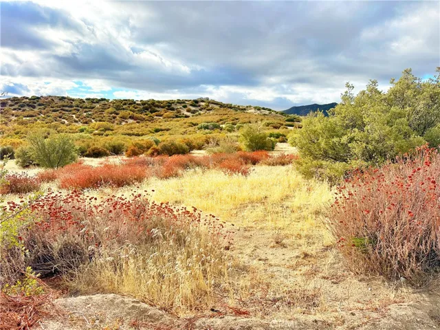 40 Acres Via Oak Grove Lane, Ranchita, California 92066