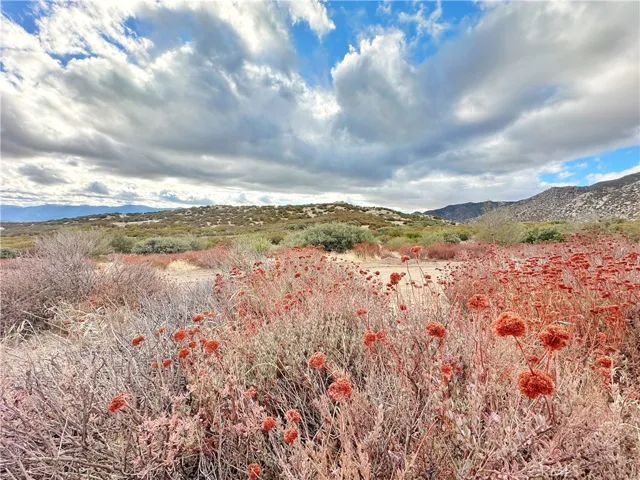 40 Acres Via Oak Grove Lane, Ranchita, California 92066