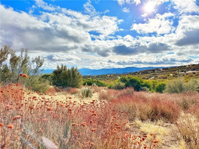 40 Acres Via Oak Grove Lane, Ranchita, California 92066