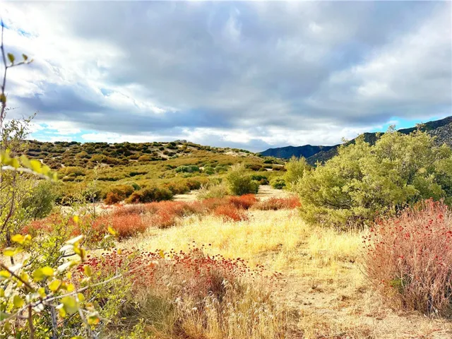 40 Acres Via Oak Grove Lane, Ranchita, California 92066
