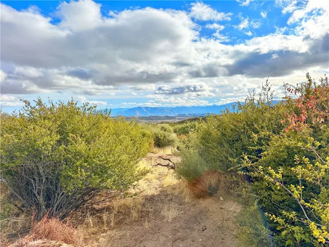 40 Acres Via Oak Grove Lane, Ranchita, California 92066