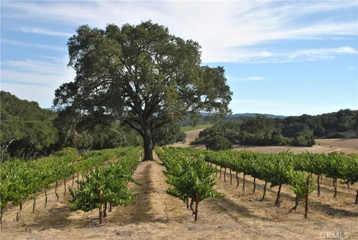 2867 Township Road, Paso Robles, California 93446